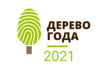 Ленинградская область – участник конкурса Российское дерево года 2021